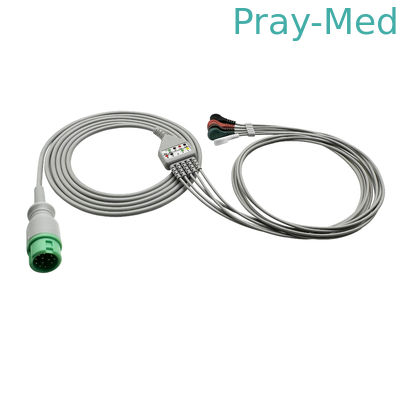 comprar Mindray / Edan / Goldway Cable de tronco de ecg con cables de plomo 12 pin snap 12 meses de garantía Fabricación en línea