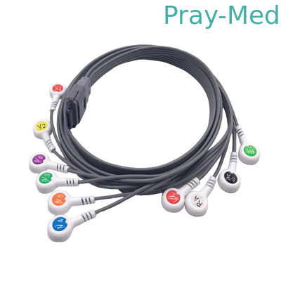 comprar BI biomédico Ecg Holter Cable For GE Edan Nihon Kohden de los instrumentos Fabricación en línea
