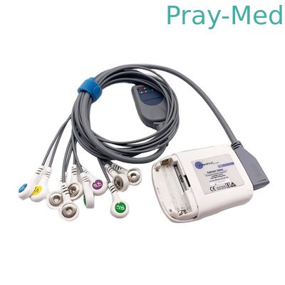comprar Gris de ventaja de Borsam Holter Ecg Cable 10 los 2m compatibles para Bs6930 BS6930-3 Fabricación en línea