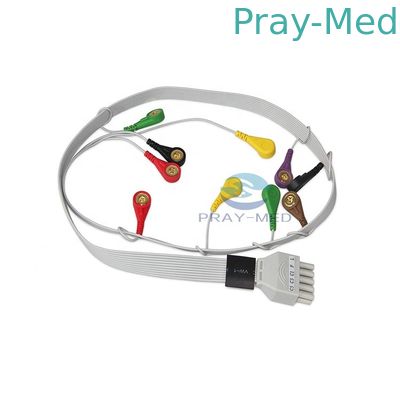 comprar Ventaja 10 del cable TLC5000 los 2.8m de CONTEC Holter ECG para TLC5000 Dyniaic Fabricación en línea