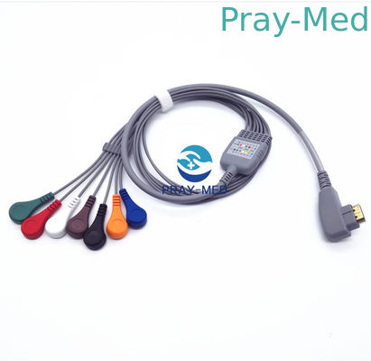 comprar El cable paciente 5/7/10 de Holter ECG del DMS lleva Pin 19 con garantía de 6 meses Fabricación en línea